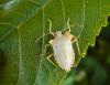 208464 – Photo : Maria Justamond – Royaume-Uni