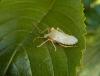 208465 – Photo : Maria Justamond – Royaume-Uni