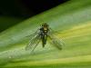 208850 – Photo : Didier Levasseur – Thaïlande