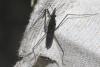 208213 – Photo : Marc Thibault – France (13)