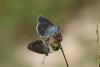 208477 – Photo : Stella MOREL – France (84)