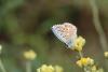 208735 – Photo : Stella MOREL – France (84)