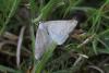 208174 – Photo : Dominique THAUVIN – France (45)