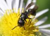 208063 – Photo : Jean-Sébastien Carteron – France (75)