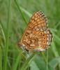 208758 – Photo : Catherine Reymonet-Smitten – France (19)