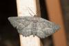 208009 – Photo : Jessica Joachim – France (09)
