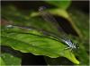 208980 – Photo : Benoit Guillon – Vietnam