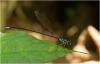 208983 – Photo : Benoit Guillon – Vietnam