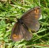 208042 – Photo : Denis Poirier – France (74)
