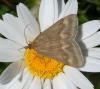 208838 – Photo : Denis Poirier – France (74)