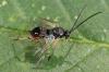 209082 – Photo : Yoann Pelouard – France (72)