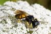 209731 – Photo : florent besson – France (18)