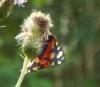 209314 – Photo : Régine Viguier – France (12)