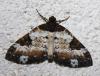 209960 – Photo : alain Roujas – France (31)