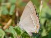 209901 – Photo : Alain Gérard – France (31)