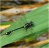 209464 – Photo : Benoit Guillon – Vietnam