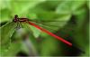 209620 – Photo : Benoit Guillon – Vietnam