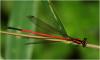 209621 – Photo : Benoit Guillon – Vietnam