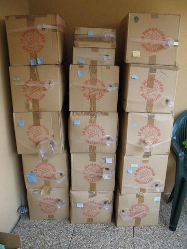 Carton xylophages