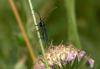 21753 – Photo : Hugues Mouret – France (05)