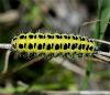 21261 – Photo : Pelouard – France (74)
