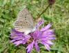 21838 – Photo : Arnaud Jean-Pierre – France (11)