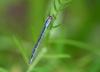 21286 – Photo : bajarskas – France (62)