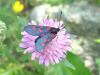 21710 – Photo : jeromebubu – Andorre