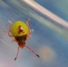 210590 – Photo : Jb Senon – France (20)