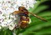 210729 – Photo : chrisoneye – France (11)