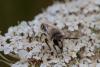 210873 – Photo : Pierre Duhem – France (95)