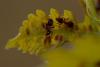 210432 – Photo : Pierre Duhem – France (95)