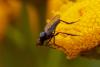 210661 – Photo : Pierre Duhem – France (95)