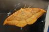210410 – Photo : alain Roujas – France (31)