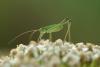 210868 – Photo : Olivier Pouvreau – France (19)