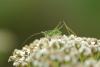 210906 – Photo : Olivier Pouvreau – France (19)