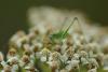 210907 – Photo : Olivier Pouvreau – France (19)