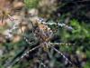 210745 – Photo : M-Laure Normand – France (34)