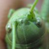 210023 – Photo : Axel Dehalleux – France (04)