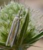 210468 – Photo : Liliane Delattre – France (30)