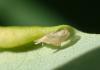 210521 – Photo : Catherine Reymonet-Smitten – France (31)