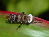 210929 – Photo : Didier Levasseur – Thaïlande