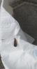 210513 – Photo : Valentina Castagneri – Italie