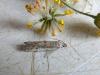 210335 – Photo : Vita – France (53)