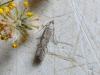 210336 – Photo : Vita – France (53)