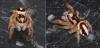 210414 – Photo : Marc Thibault – France (13)