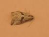 210413 – Photo : Maxime Bodhuin – Grèce