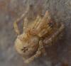 210861 – Photo : sofiane lemieuvre – France (74)