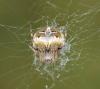 210451 – Photo : sofiane lemieuvre – France (74)