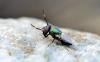 210724 – Photo : Bartolome Joseph – France (42)